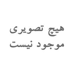 نایت شعبه2